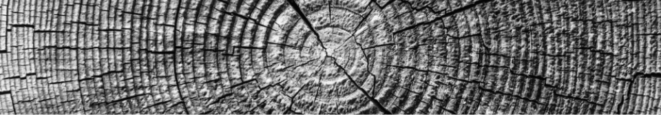 Medicondis hero image