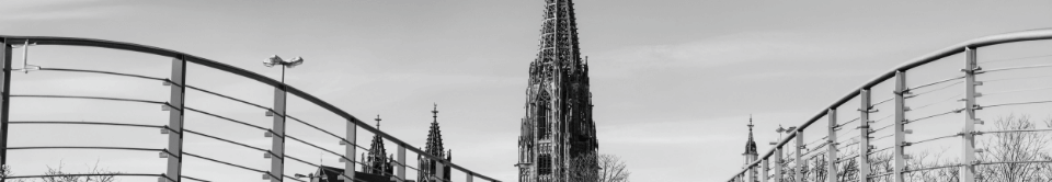 Medicondis hero image